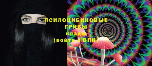 спиды Абаза